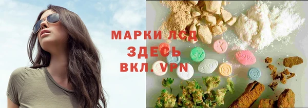 стаф Арсеньев