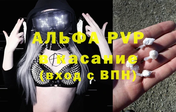 spice Аркадак