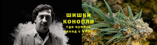 spice Аркадак