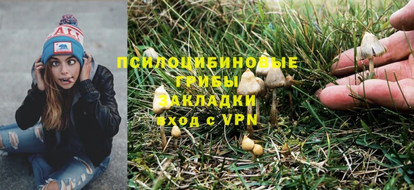 стаф Армянск