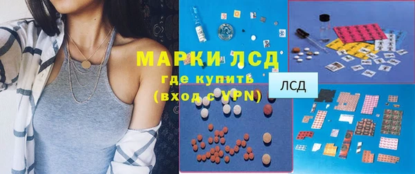 spice Аркадак