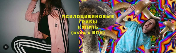 стаф Арсеньев
